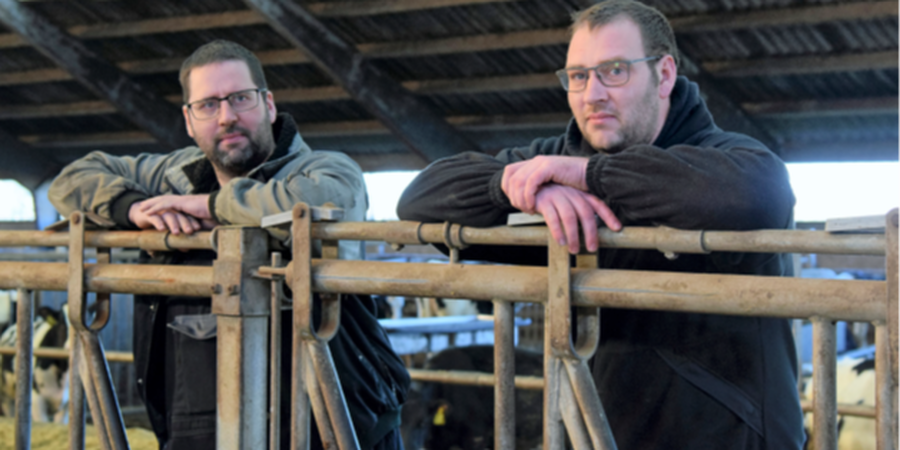 Køb af et stort kvægbrug som stod til salg hos EDC Videbæk Landbrug. Brødrene står i deres kostald.