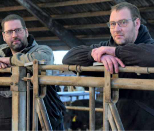 Køb af et stort kvægbrug som stod til salg hos EDC Videbæk Landbrug. Brødrene står i deres kostald.